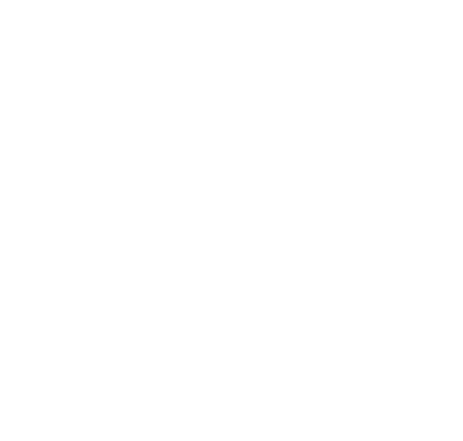 Salmon Ellipse